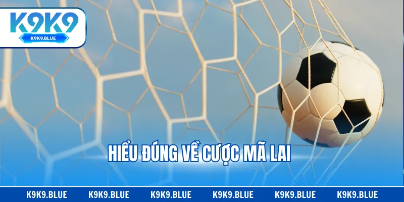 Hiểu đúng về cược Mã Lai