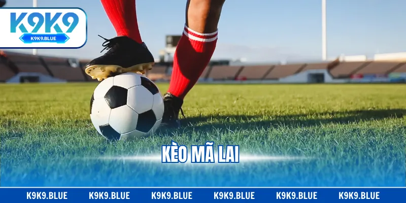 Kèo Mã Lai - Cách Đọc & Chiến Thuật Có Chiến Thắng