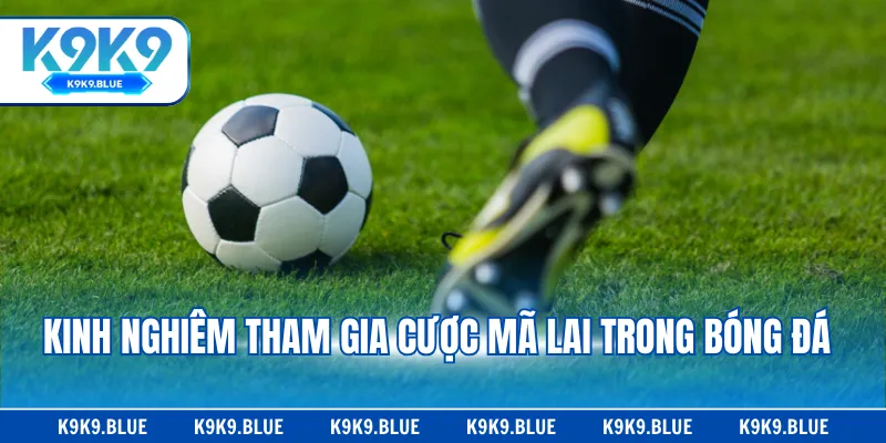 Kinh nghiêm tham gia cược Mã Lai trong bóng đá