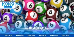 Xổ Số Con Voi Là Gì? Giải Mã Thuật Ngữ Dân Gian Lô Đề